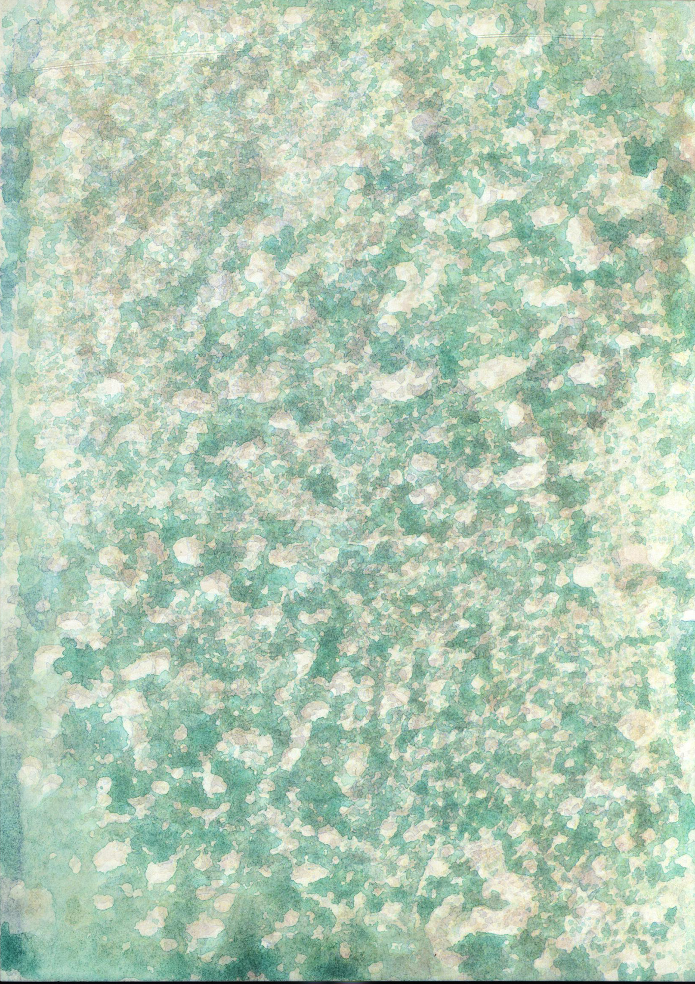10491EB.jpg