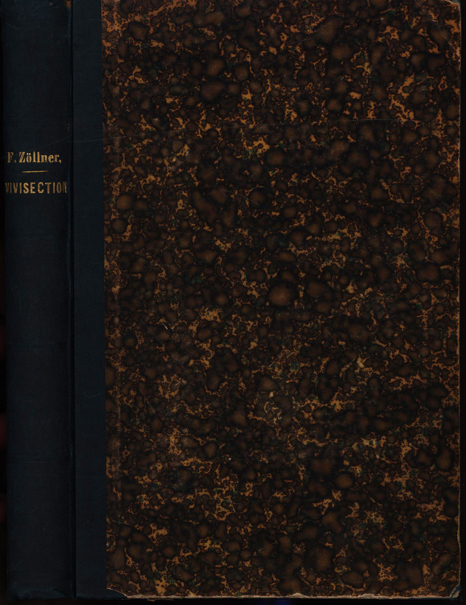 10690EB.jpg