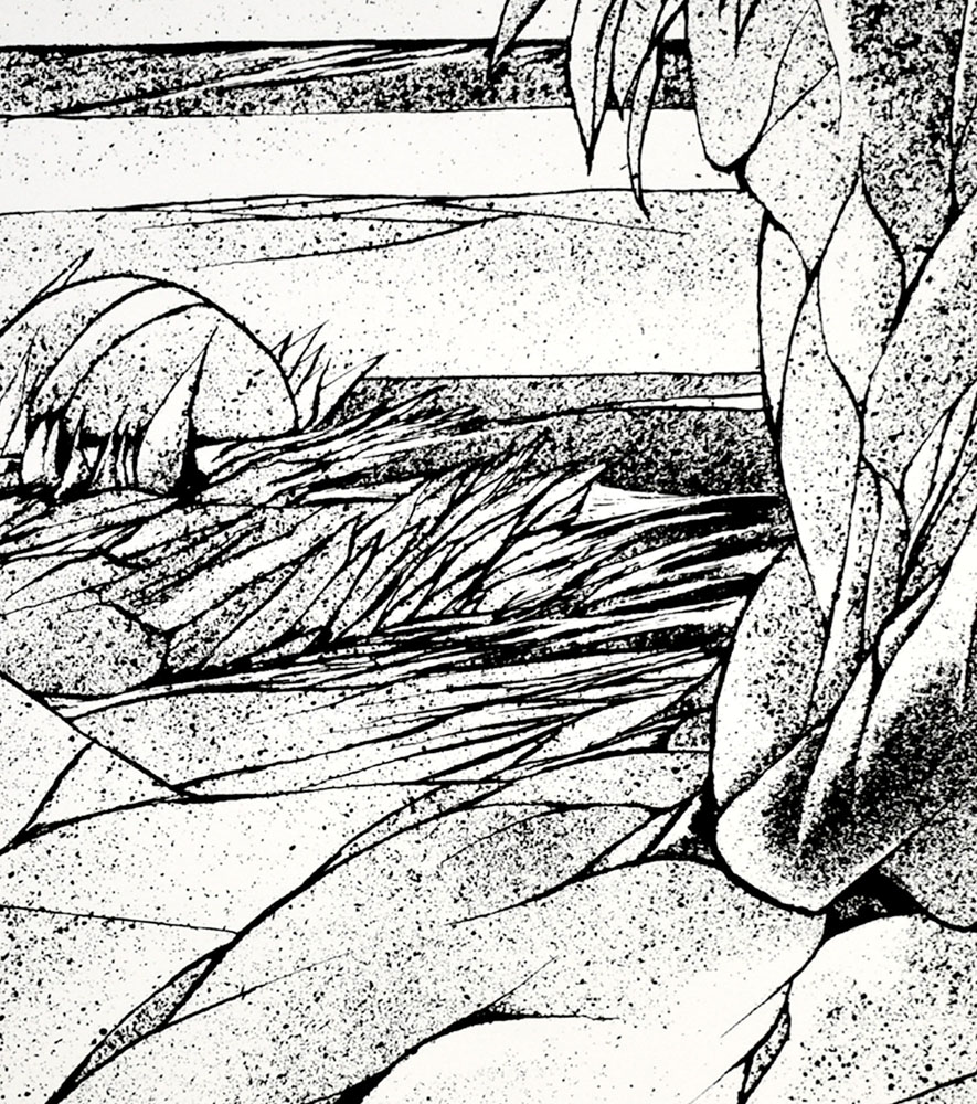 12724DB_3.jpg