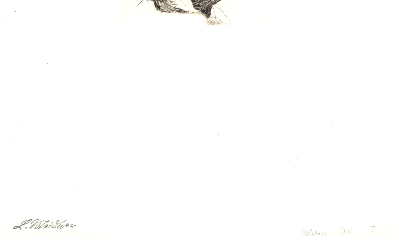 12854DB_1.jpg