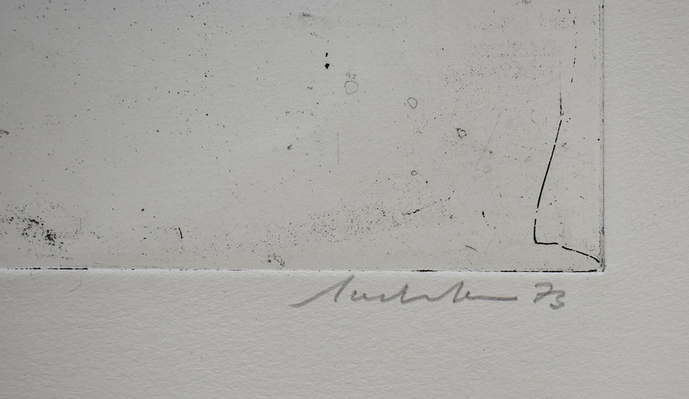 13046DB_2.jpg