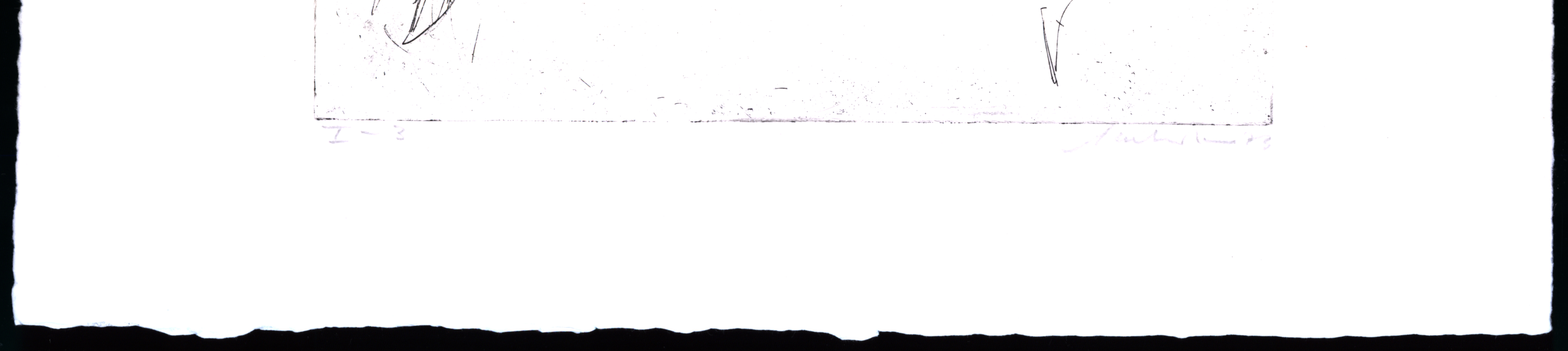 13056DB_1.jpg