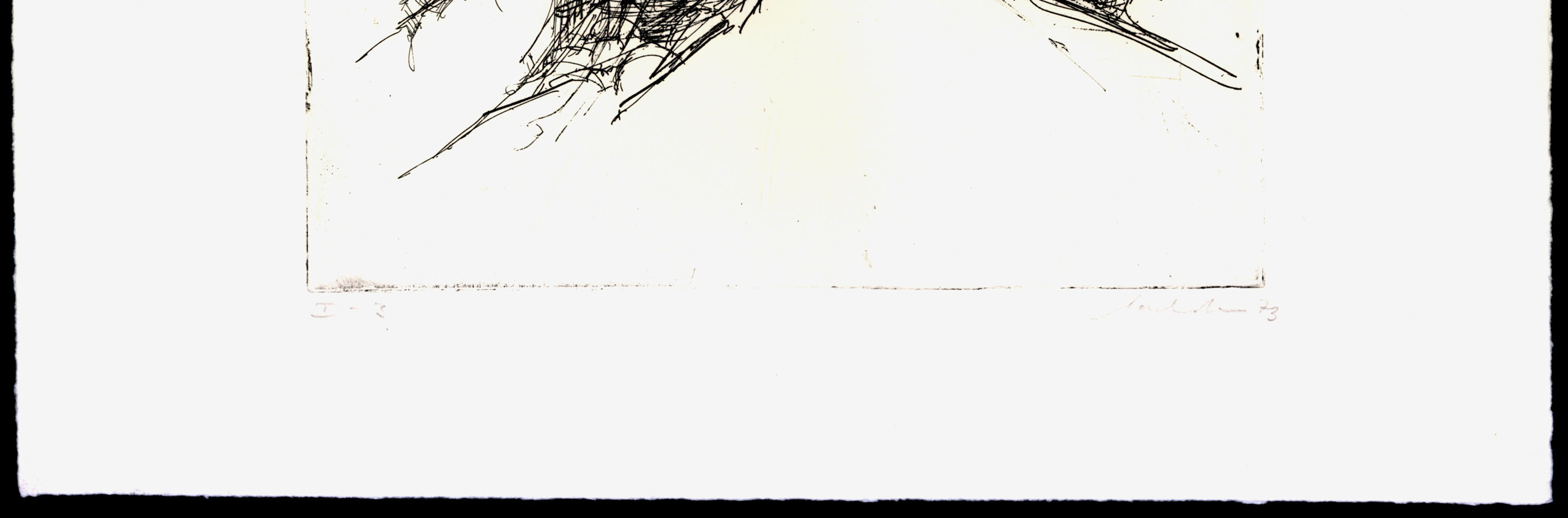 13082DB_1.jpg