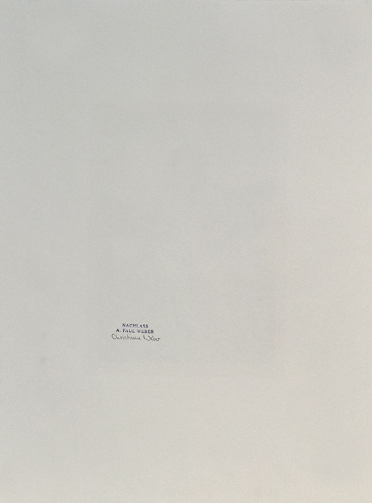 13637DB_3.jpg