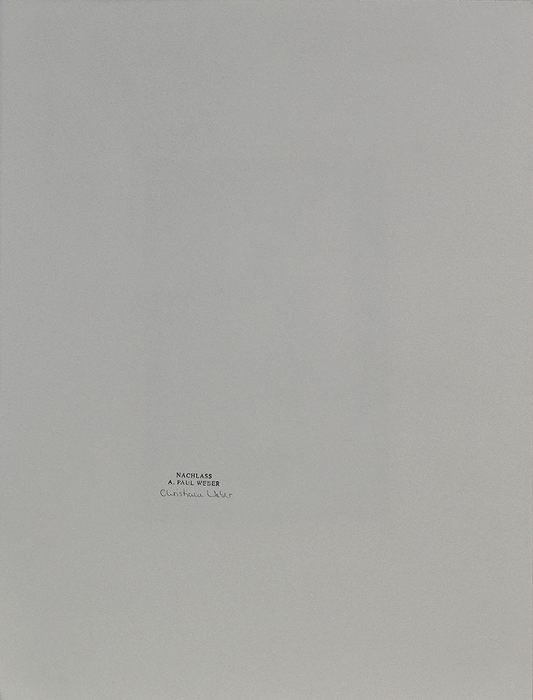 13638DB_3.jpg