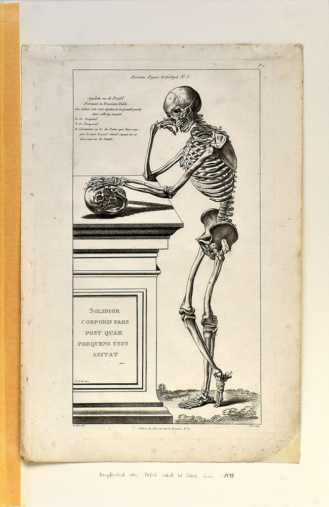 13942DB_2.jpg