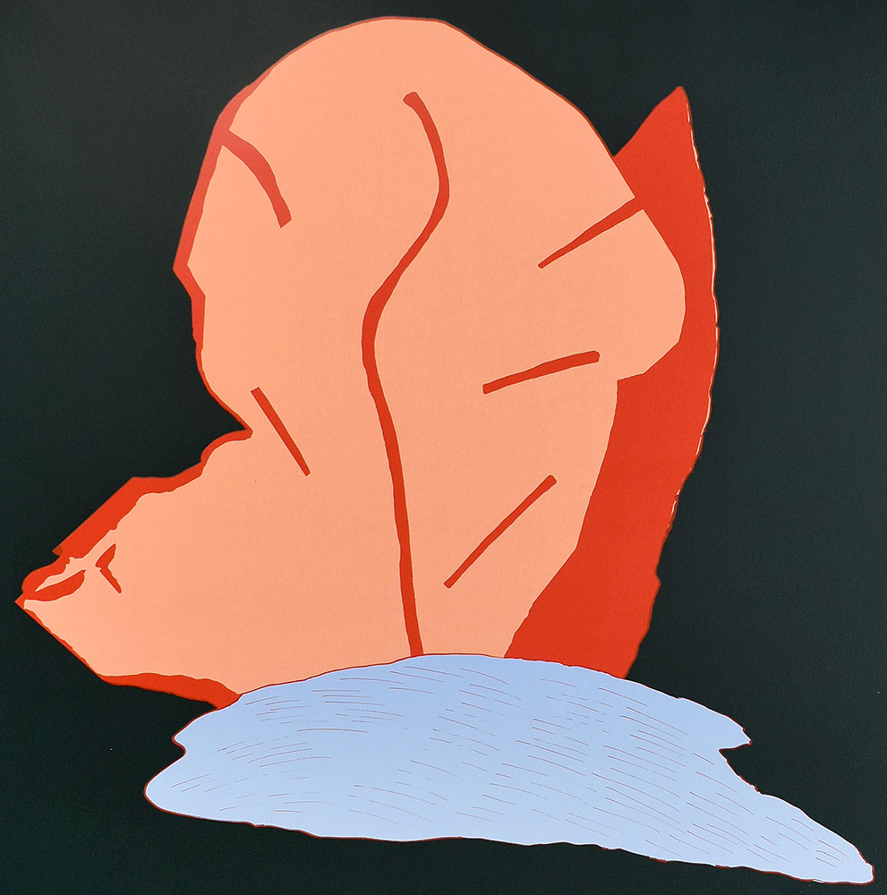 14297DB_3.jpg