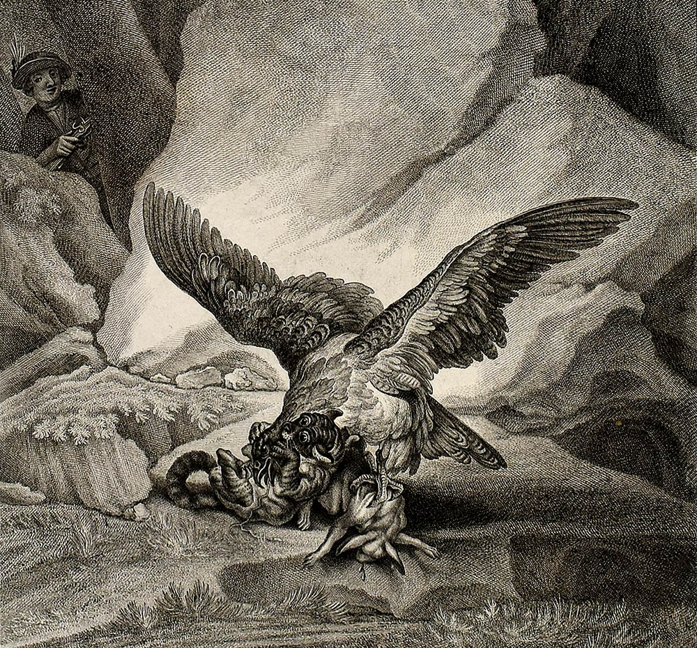 14368DB_2.jpg