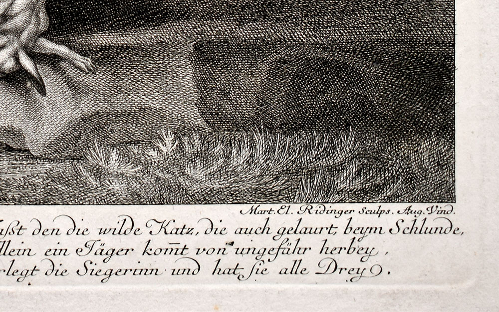 14368DB_3.jpg
