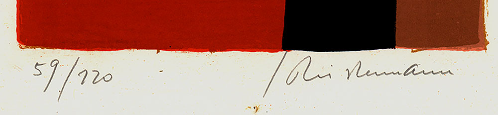 14580DB_2.jpg