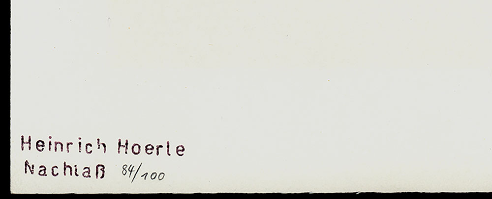 14645DB_2.jpg