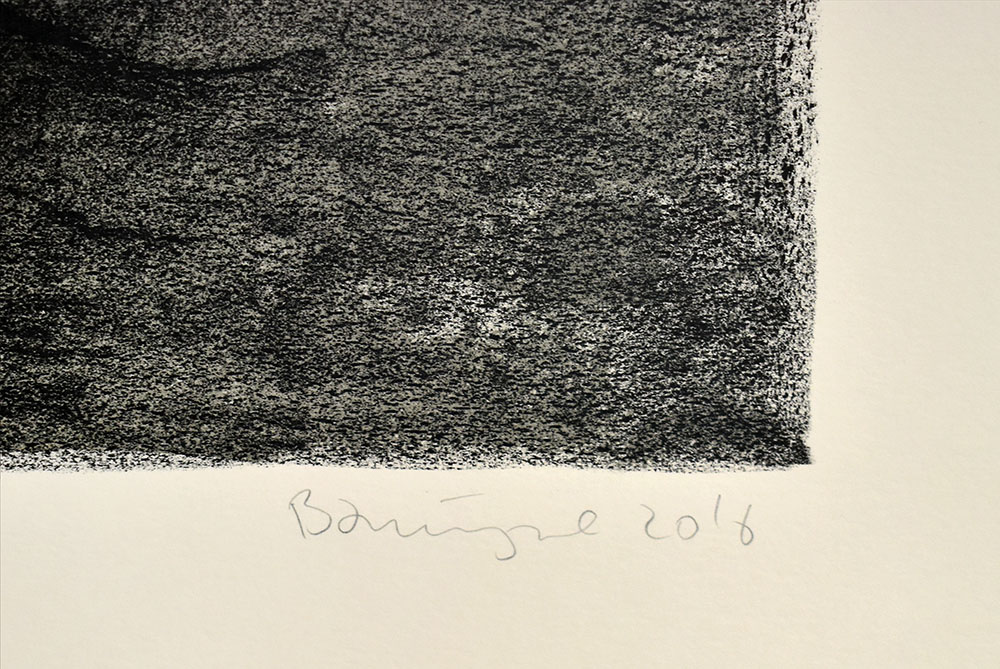 14888DB_2.jpg