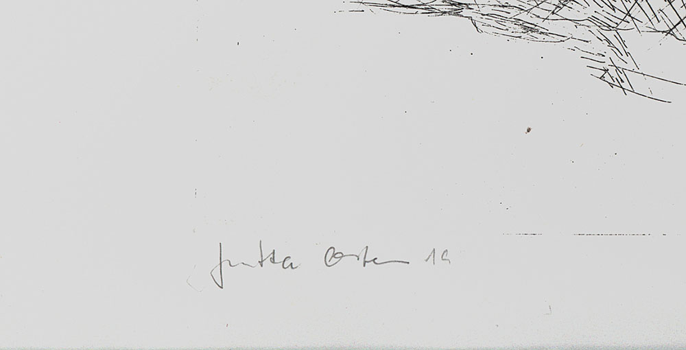 15491DB_2.jpg