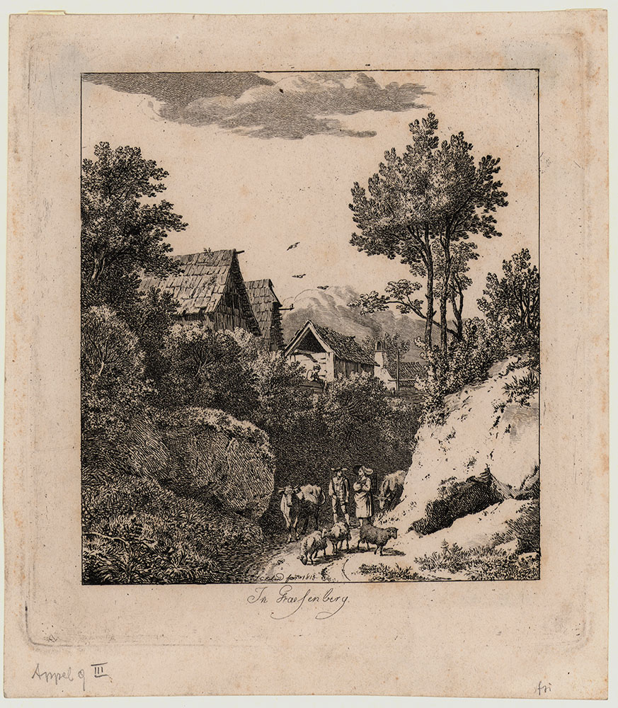 15541DB_2.jpg