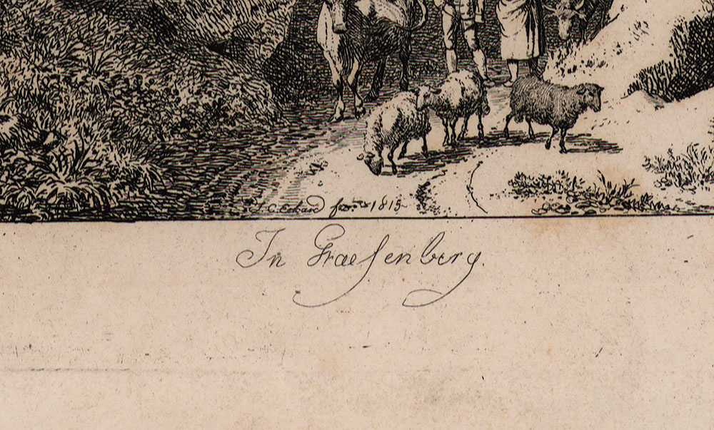 15541DB_3.jpg