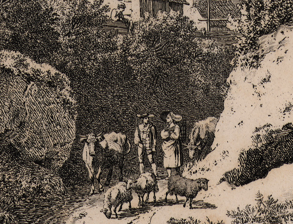 15541DB_4.jpg