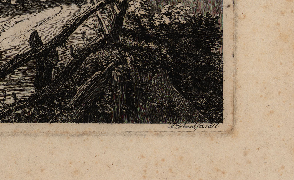 15543DB_3.jpg