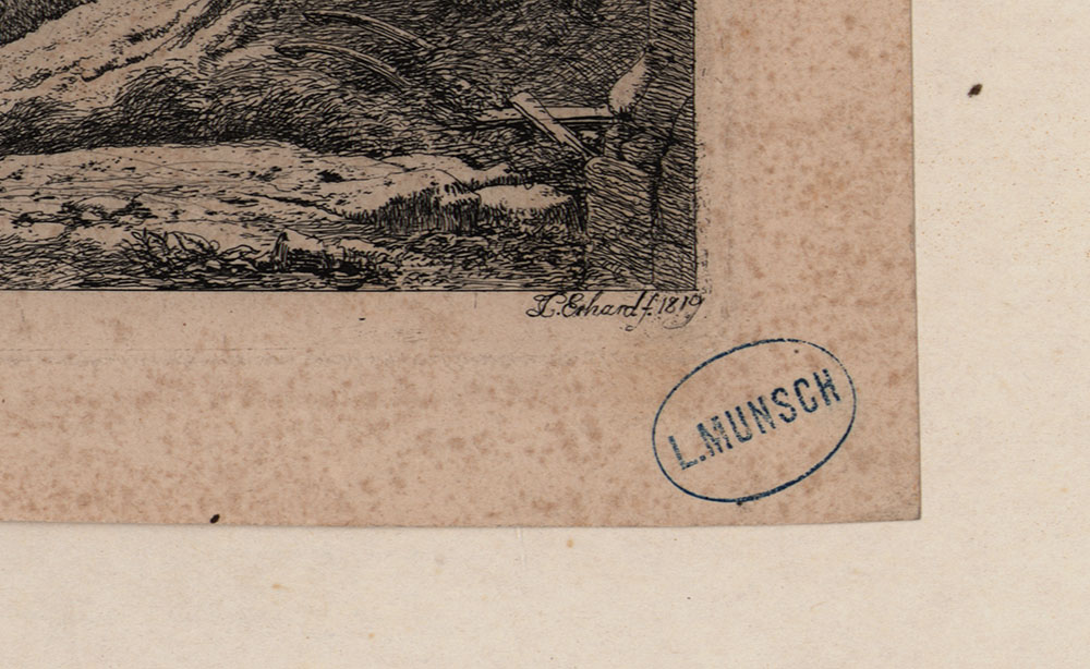 15546DB_3.jpg