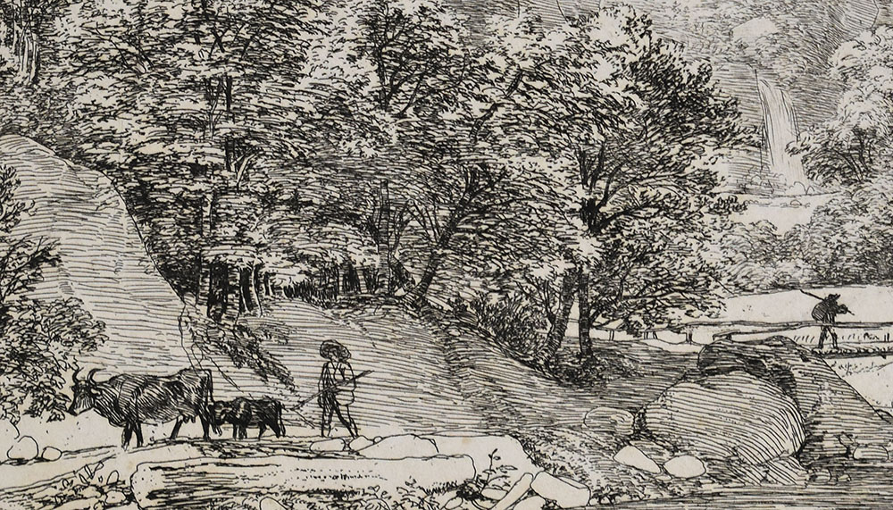 15560DB_3.jpg