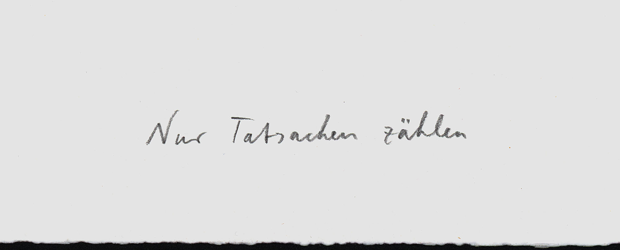 15607DB_4.jpg