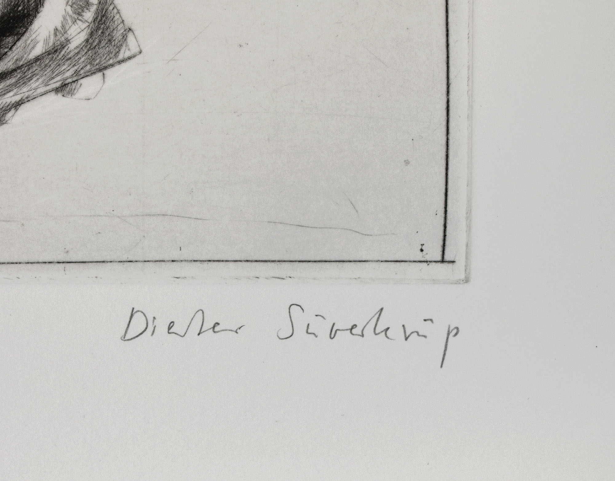 15624DB_3.jpg