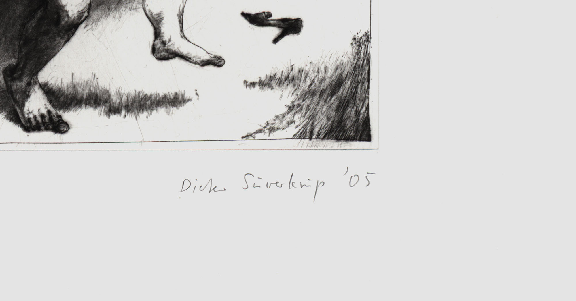 15647DB_3.jpg