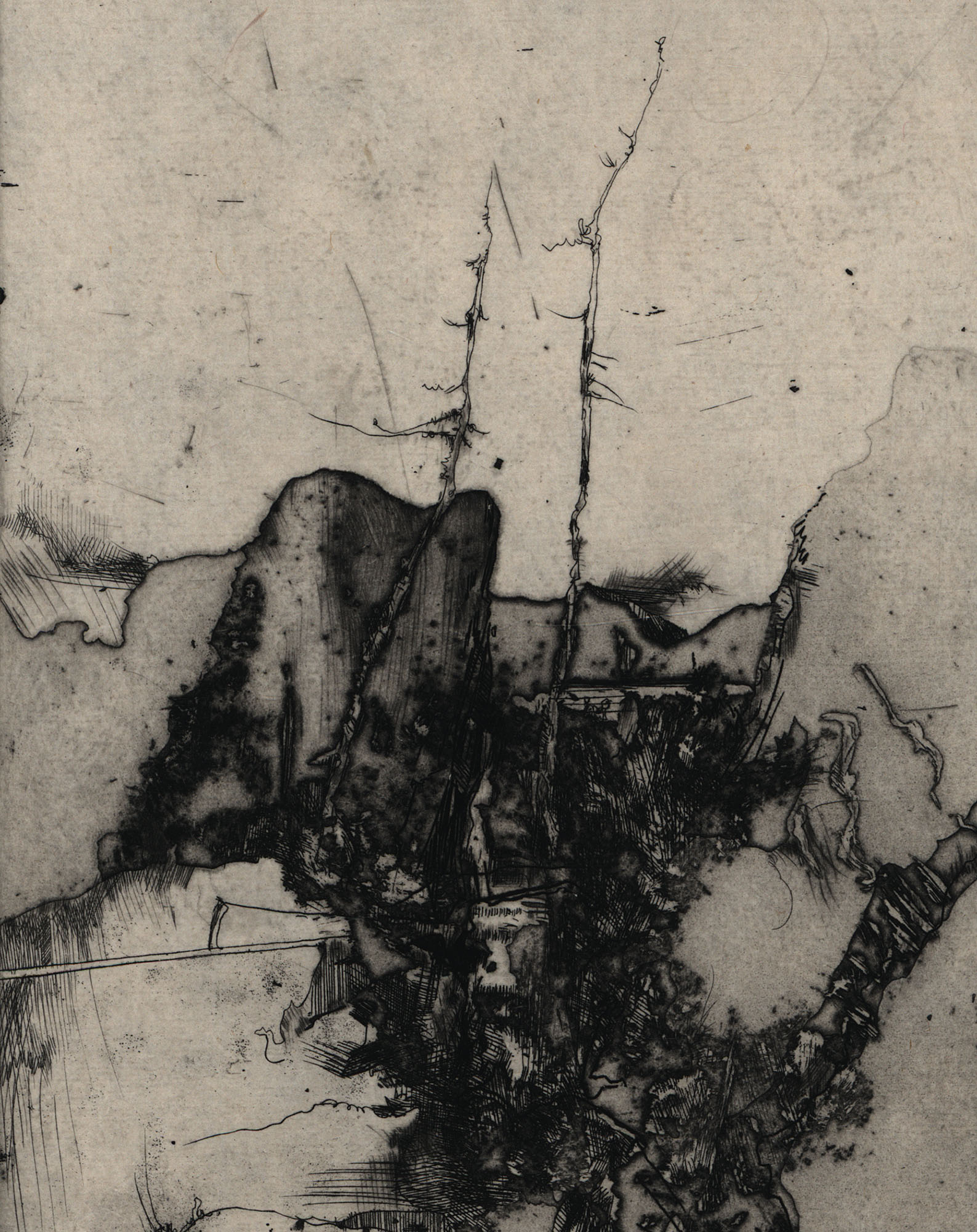 15930DB_3.jpg