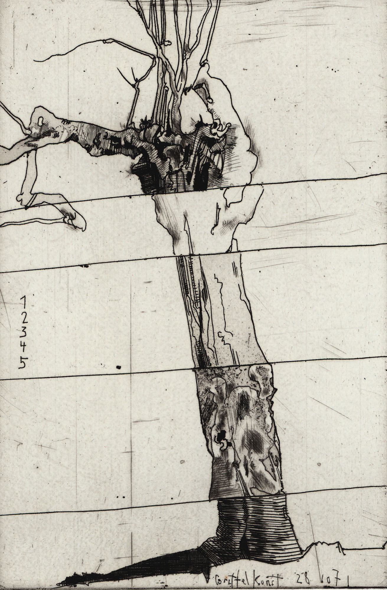 15944DB_3.jpg
