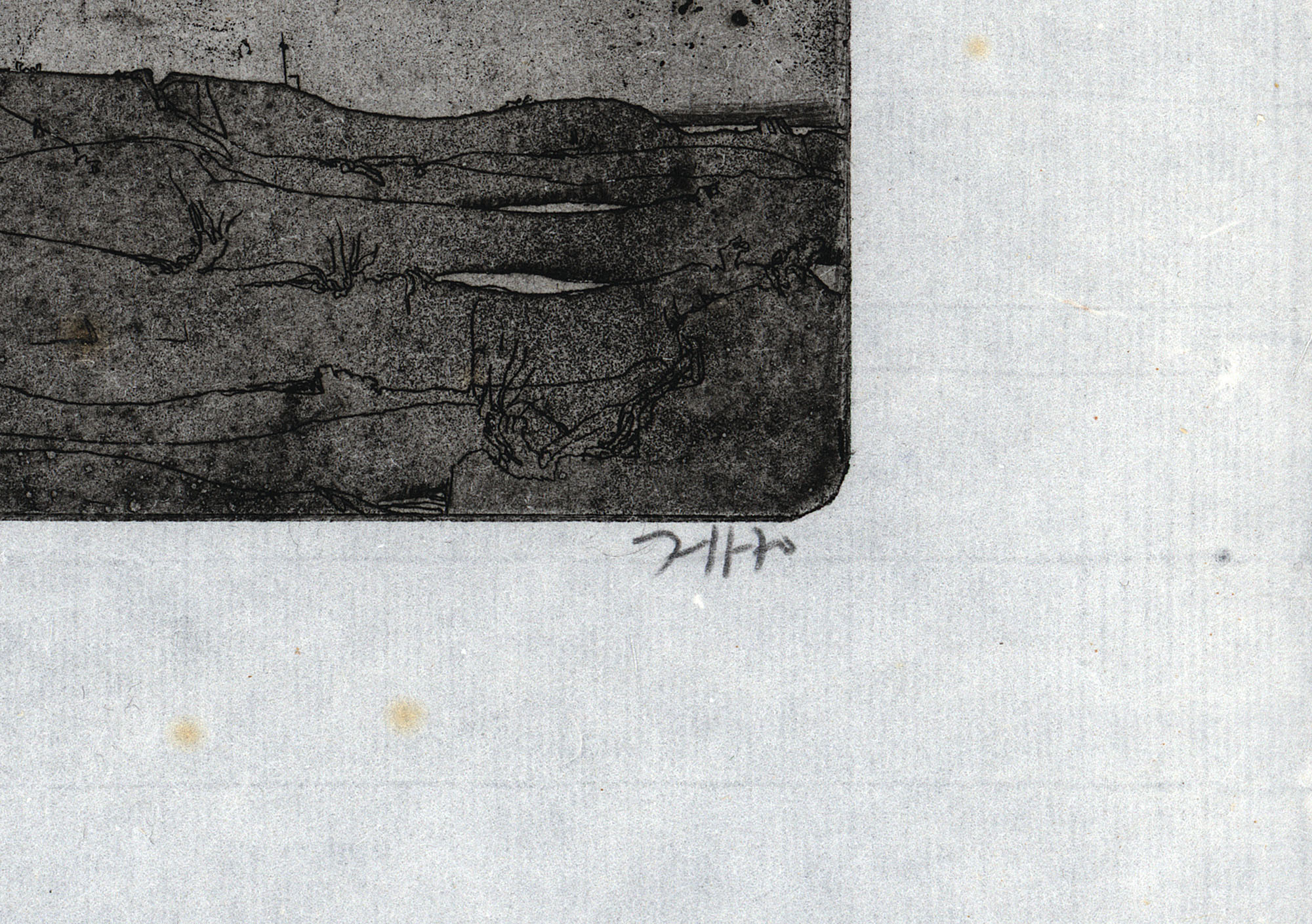 15954DB_2.jpg