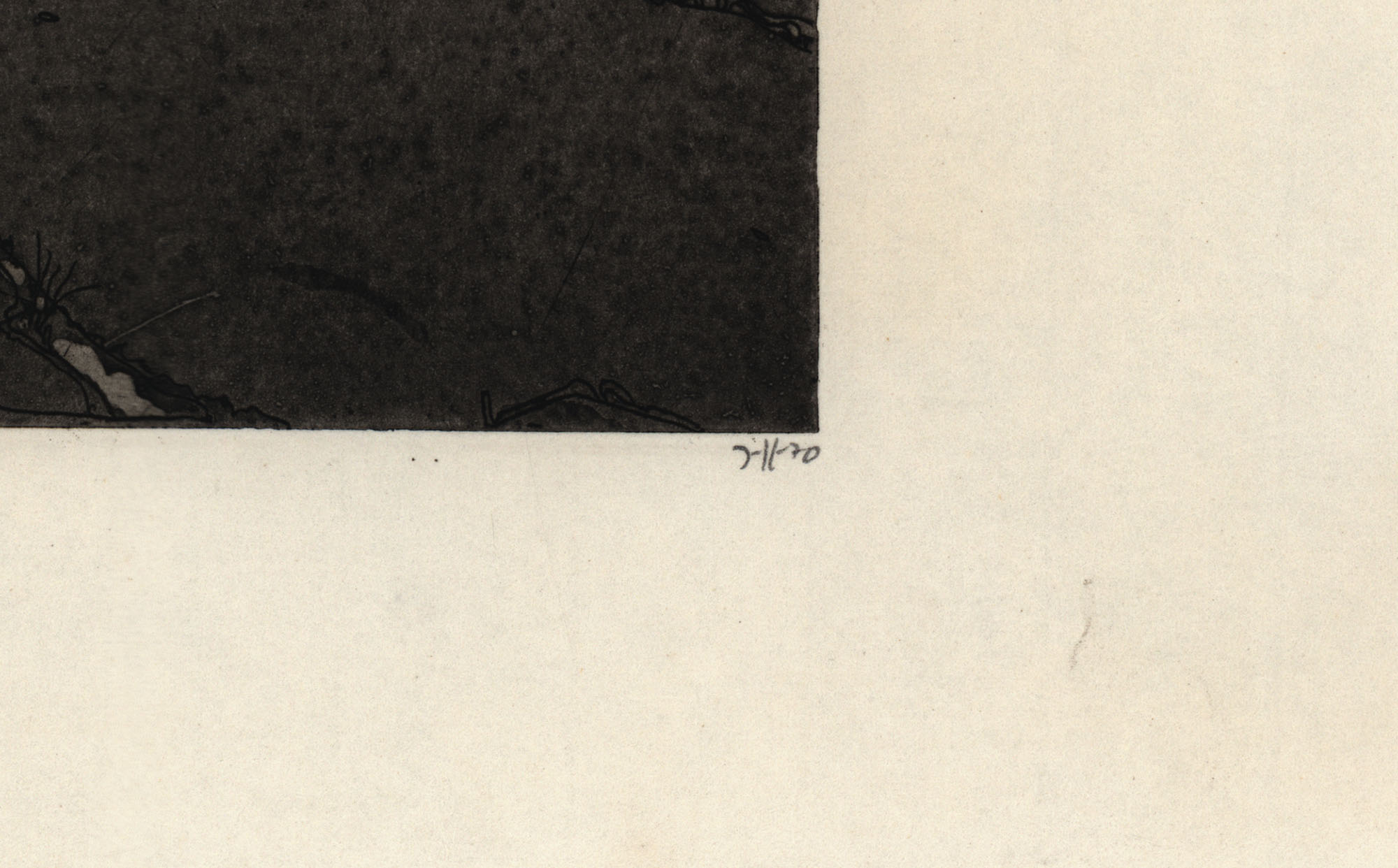 15957DB_2.jpg
