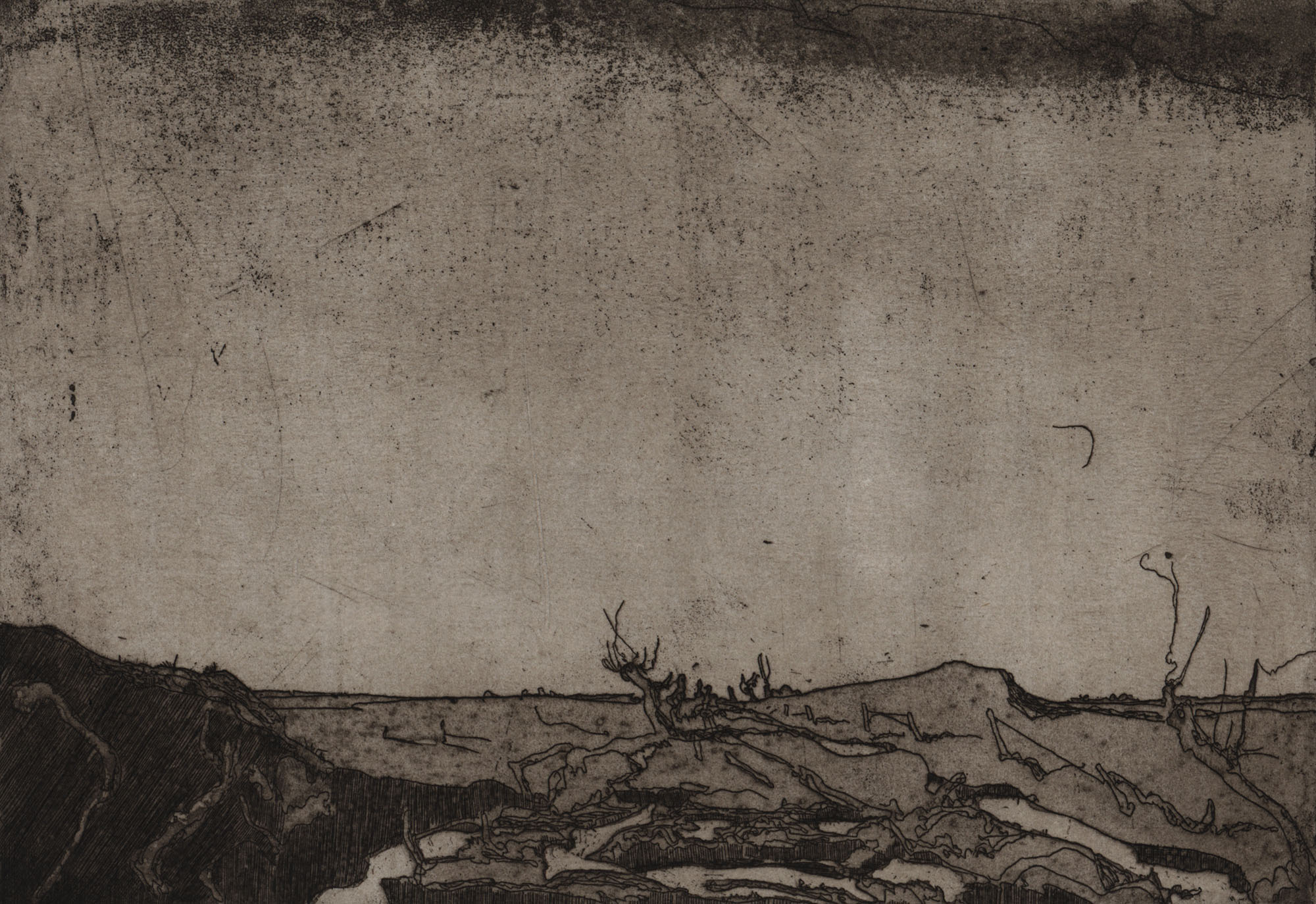 15959DB_3.jpg