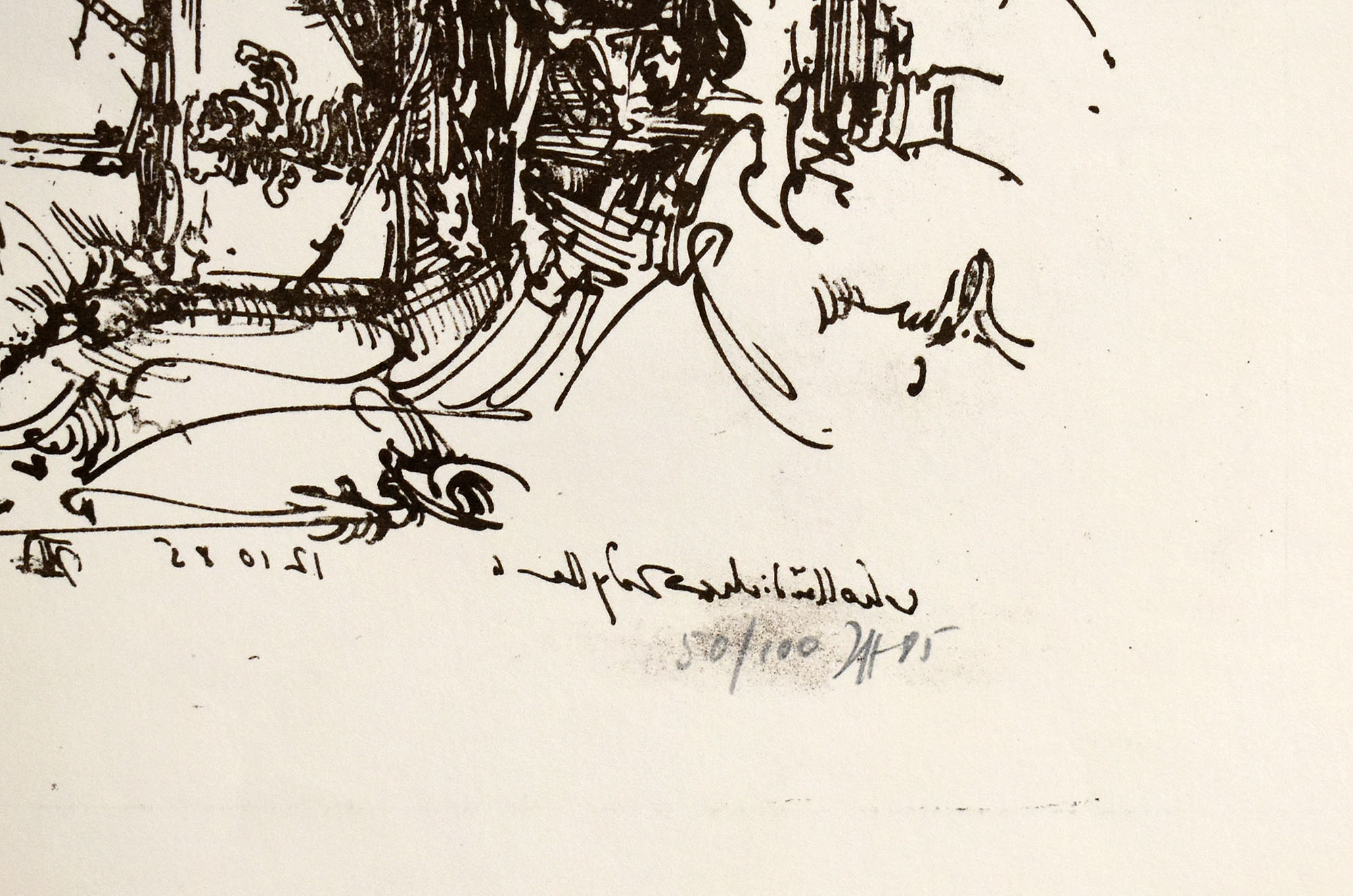 15986DB_2.jpg