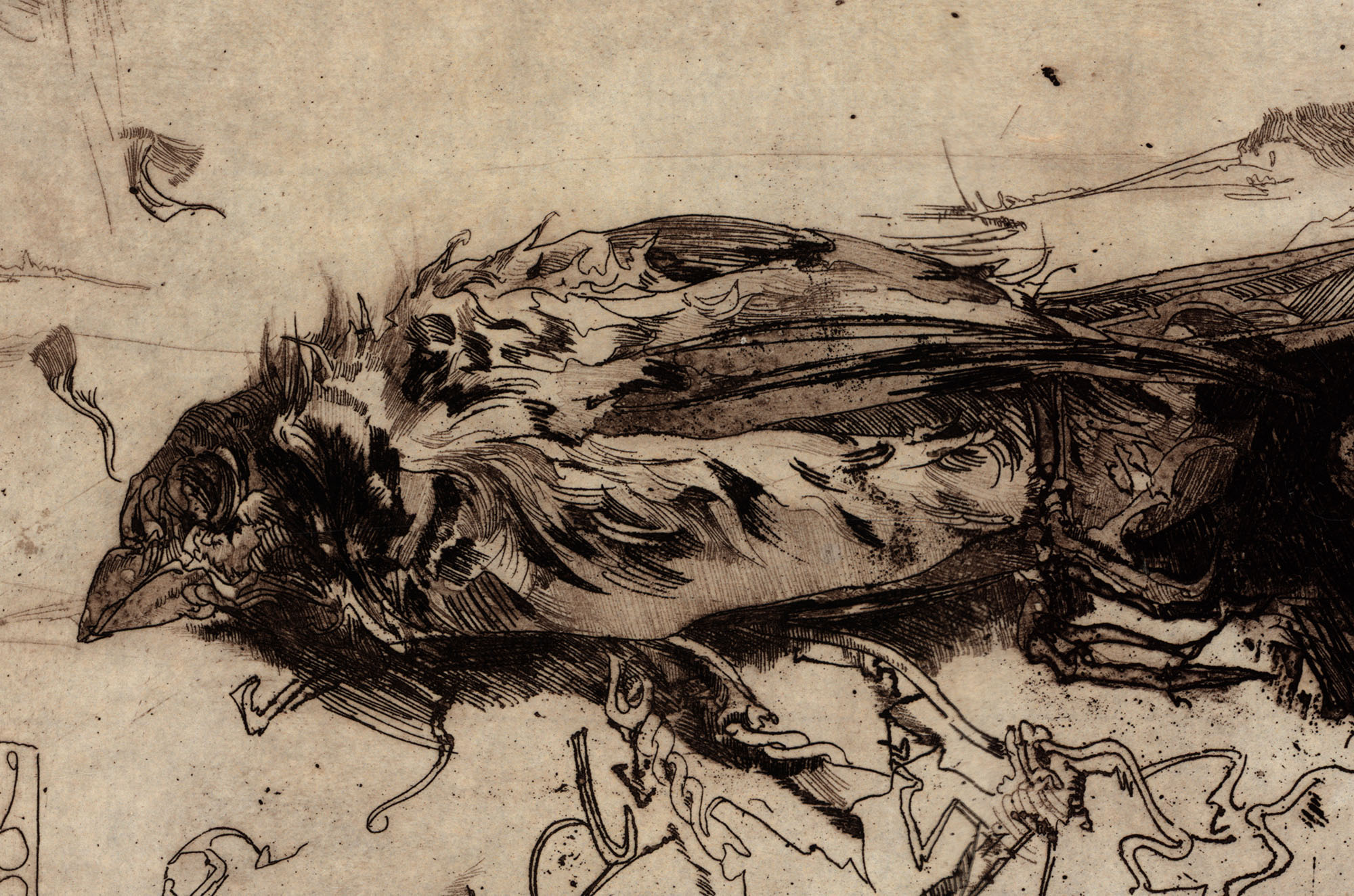 16155DB_3.jpg