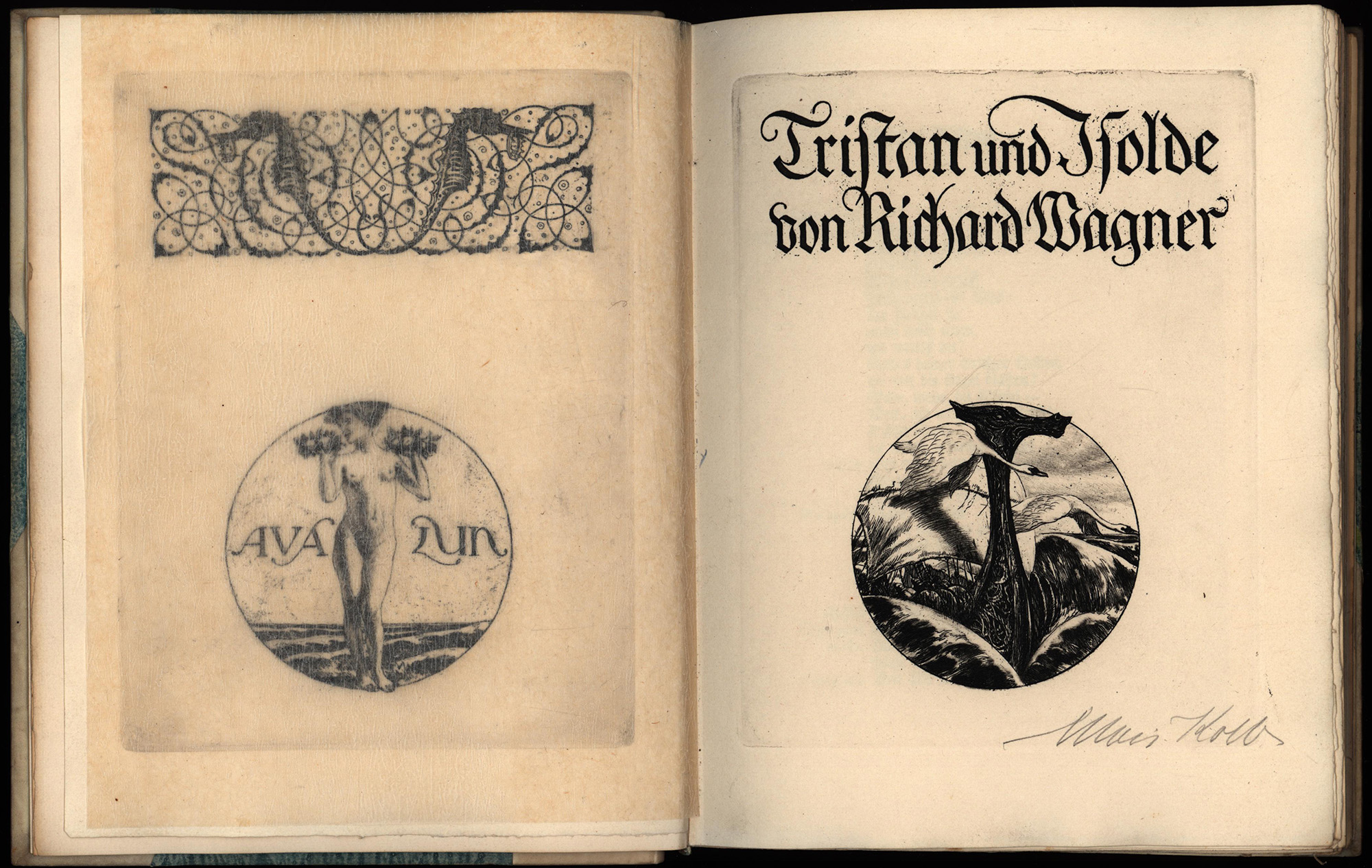 45963AB_3.jpg