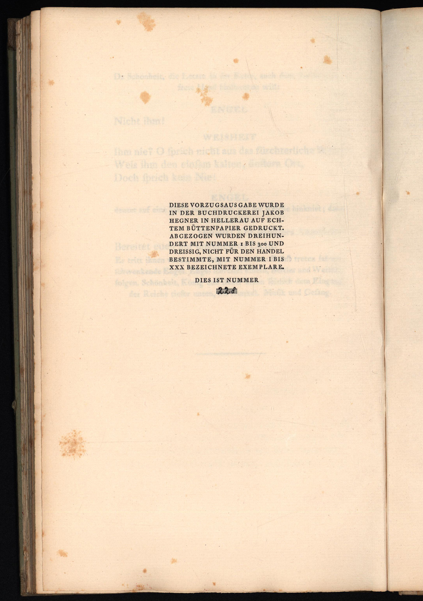 45964AB_2.jpg