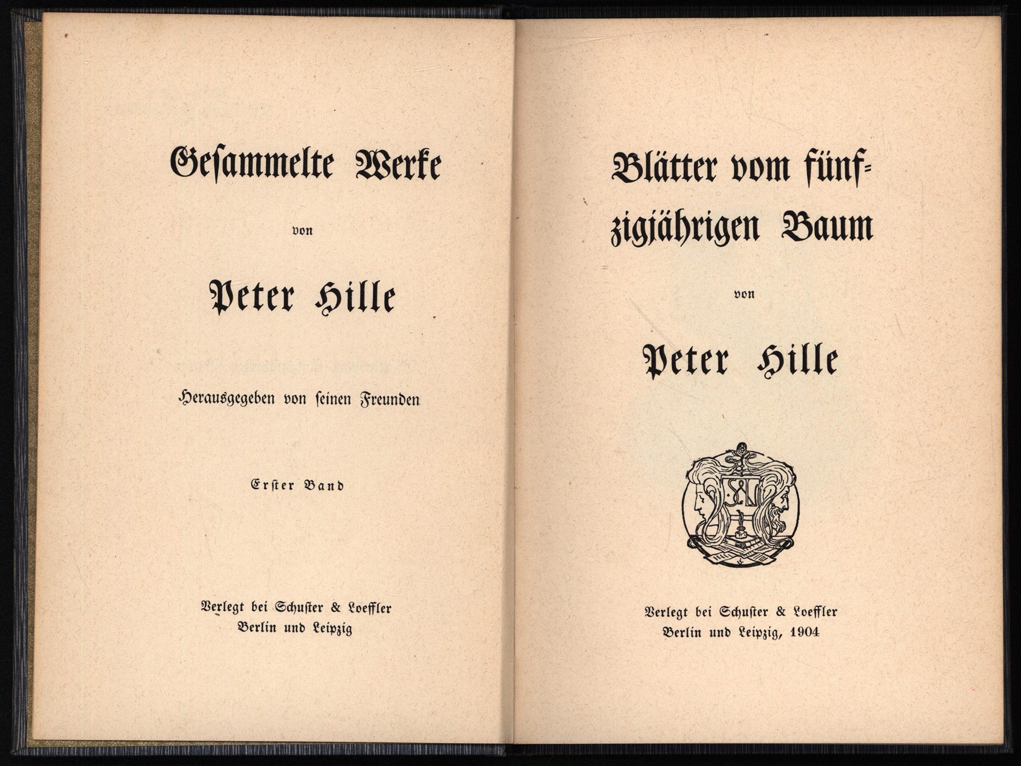 46058AB_2.jpg