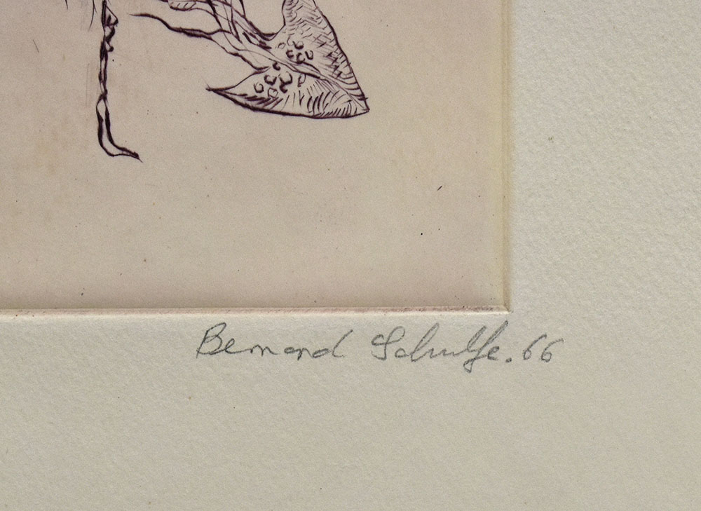 57864BB_2.jpg