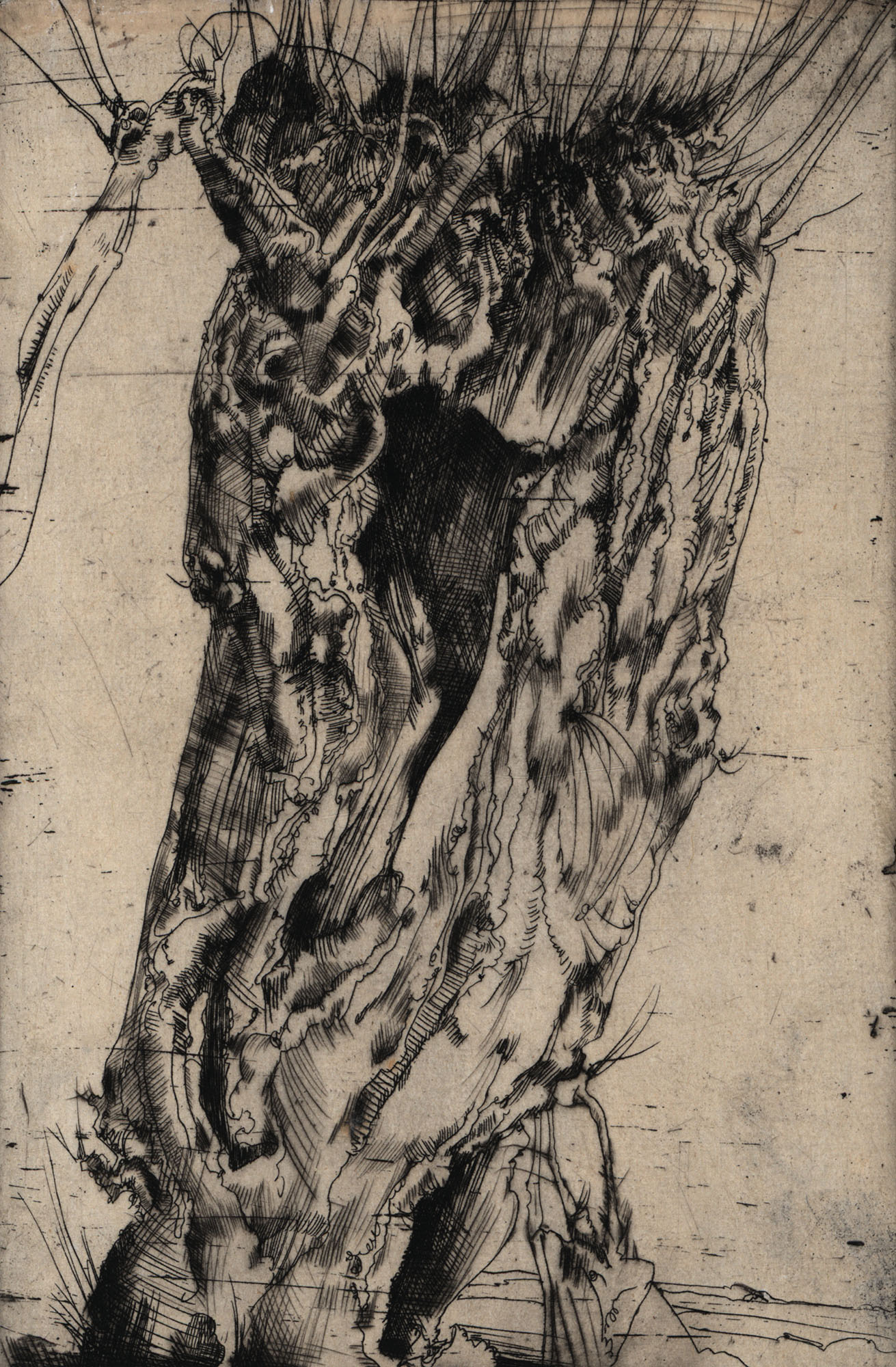 62422BB_3.jpg