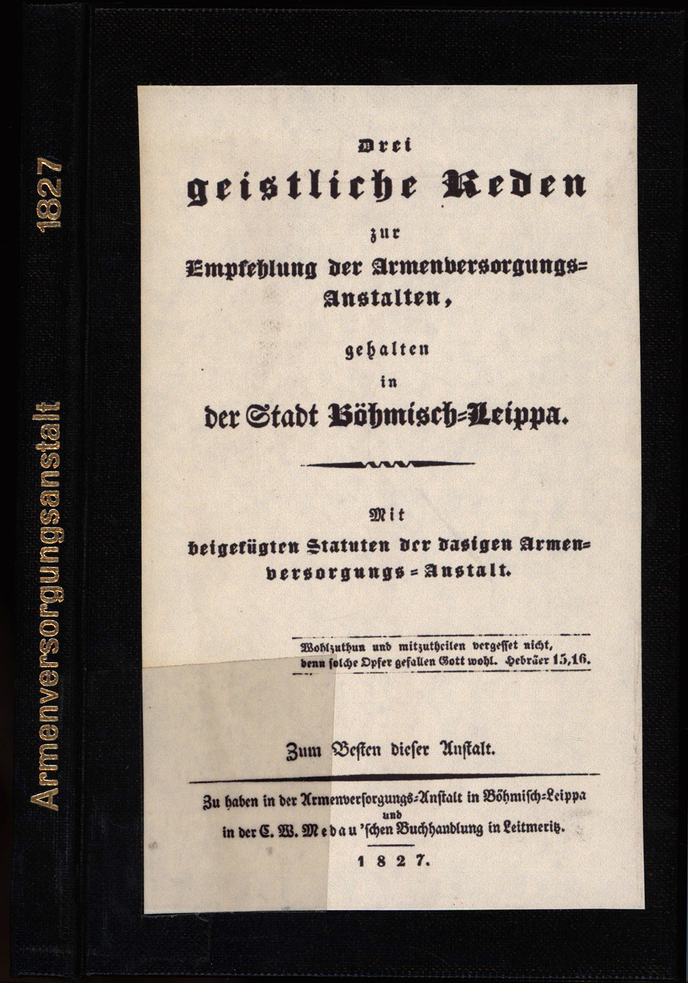 64303BB.jpg