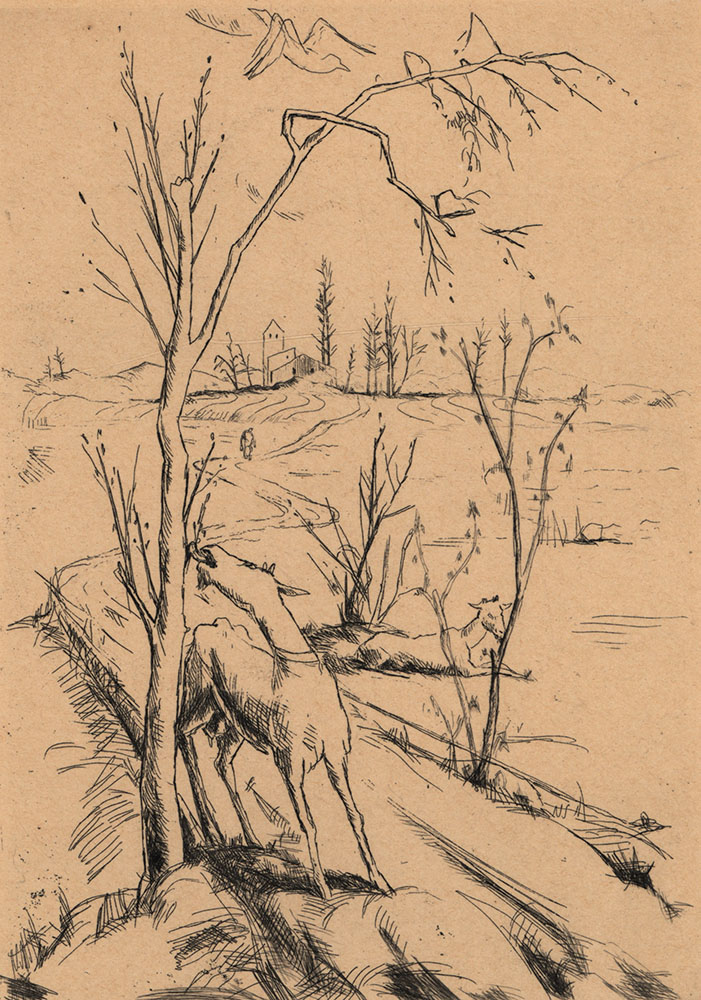 65476CB_3.jpg