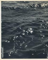 48666BB.jpg